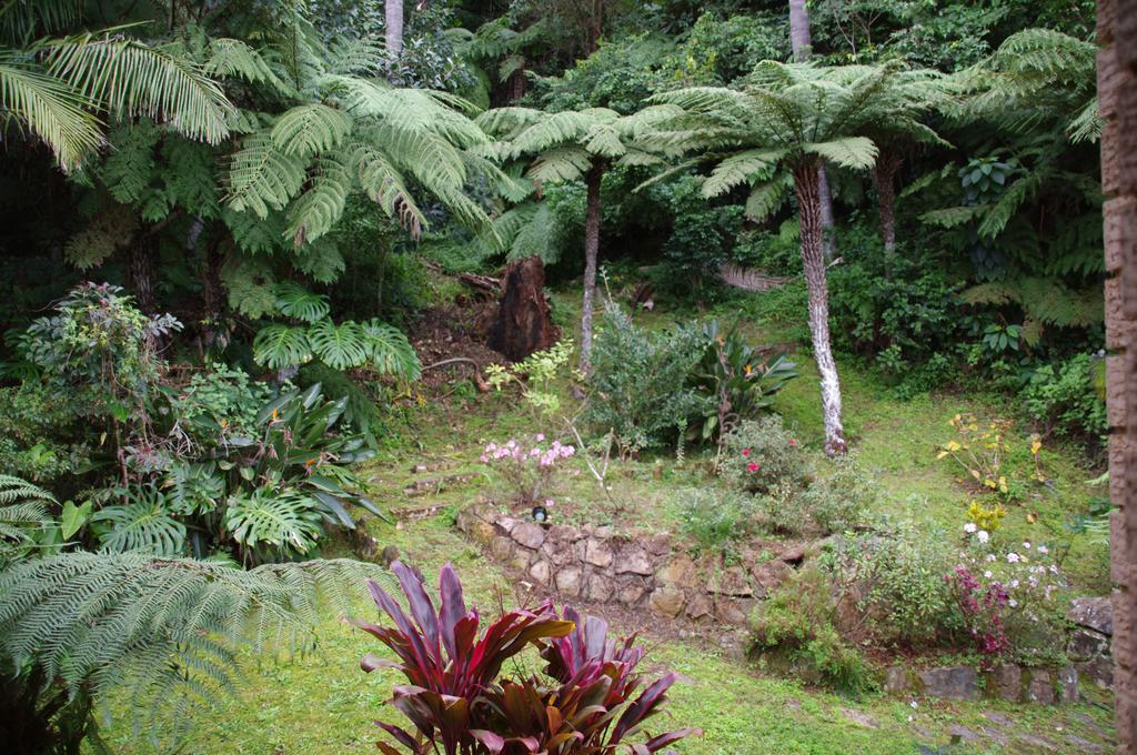 Marcel Towers Holiday Apartments Nambucca Heads Buitenkant foto